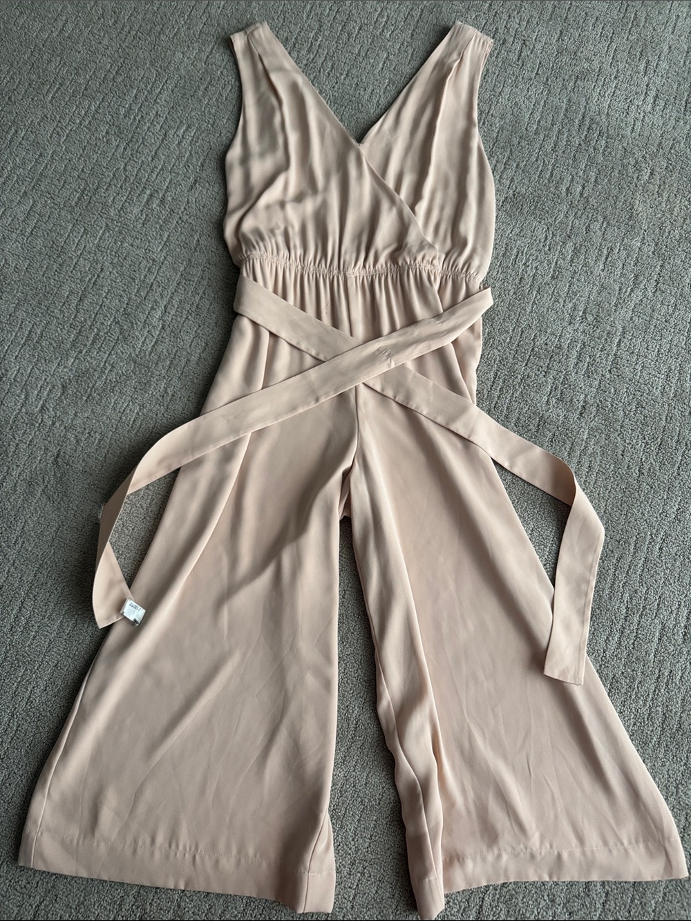 Aritzia Sleeveless V-Neck Wide-Leg Jumpsuit in Blush